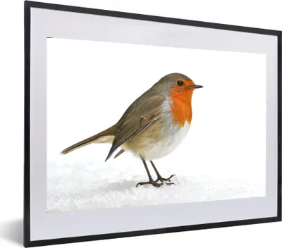Produktbild von MuchoWow® MuchoWow® Gerahmtes Poster Rotkehlchen - Schnee - Weiß 60x40 cm - Poster mit zchwarzem Bilderrahmen - Schlafzimmer - Plakat in Rahmen - Drucken