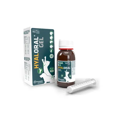 A product shot of a bottle of Hyaloral Gel for puppies and cats, along with its packaging box and a syringe.