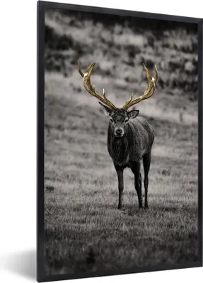 Produktbild von MuchoWow® MuchoWow® Gerahmtes Poster Hirsch - Gold - Geweih 20x30 cm - Poster mit zchwarzem Bilderrahmen - Drucken - Bilder Poster im Rahmen