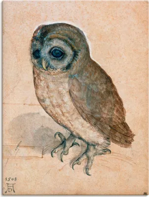 Produktbild von ARTland Leinwandbild Käuzchen. 1508 Größe: 60x80 cm