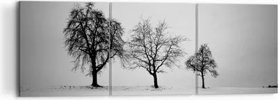 Produktbild von Bild auf Leinwand - Leinwandbild - 3 Teile - Winter Bäume Schnee - 120x40cm - Wand Bild - Wanddeko - Wandbilder - Leinwanddruck - Bilder - Wanddekoration - Leinwand bilder - Wandbild - CA120x40-4958