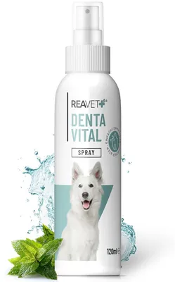 Zahnpflegespray für Hunde, 120 ml, gegen Zahnbelag & Mundgeruch