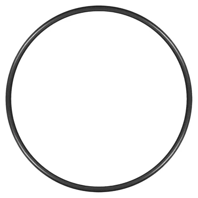 Productafbeelding van Nitrilkautschuk O-Ring 170x160x5mm voor afdichtingen