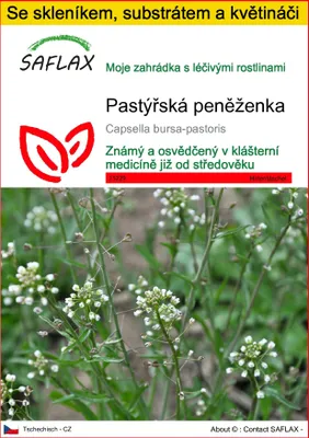 Obrázek produktu pro SAFLAX Kultivační sada - pastýřská peněženka - Capsella bursa-pastoris - 1000 Semena - S mini skleníkem, pěstebním substrátem a 2 květináči