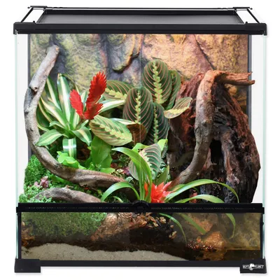 Image de Terrarium 60 x 45 x 60 cm 1 pc
