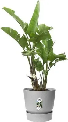 Produktbild von Elho Pflanztopf Greenville Ø 47 x 44 cm living beton