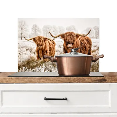 Produktbild von KitchenYeah®  Spritzschutz Küche - Küchenrückwand - Wandschutz für Herd und Spüle - Schottisches Hochlandrind - Kuh - Tiere 60x40 - Alu-Dibond (Alternative zum Spritzschutz aus Glas) - Hitzebeständig