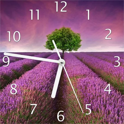 Produktbild von Wallario Design Wanduhr Lila Blumenfeld aus Echtglas, Größe 20 x 20 cm