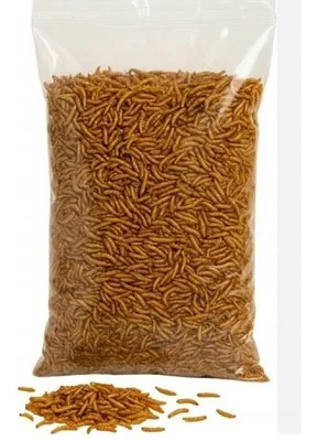 Produktbild von Getrocknete Mehlwürmer für Vögel Fische Reptilien SchildkrötenIgel 1kg