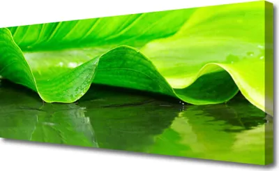 Produktbild von Tulup Leinwand-Bilder 125x50 Wandbild Canvas Kunstdruck Blatt Pflanzen