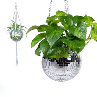 Immagine prodotto di Vaso da fiori sospeso - Vaso Discobol da 15 cm con catena per interni - Vaso argento