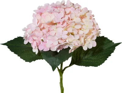 Produktbild von ohne Marke Kunstpflanze Hortensie rosa OneSize