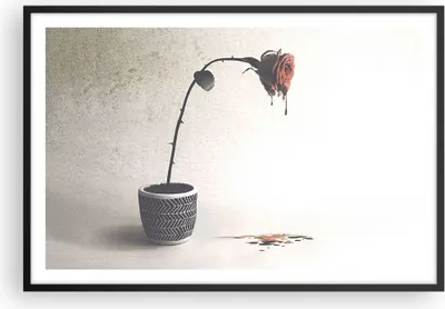 Produktbild von Gerahmtes Poster - Schwarzer Rahmen - Symbol Rose Leiden - 91,5x61 cm - Wand Bild - Wanddeko - Wandbilder - Kunstposter - Wandposter - Bilderrahmen - Bilder - Kunstdruck - P2BAA91x61-4501