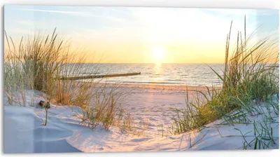Produktbild von DEQORI Küchenrückwand Glas 80x40 cm 'Abendsonne an der Ostsee' Spritzschutz Bad Rückwand