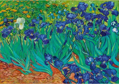 Produktbild von BLUEBIRD Puzzle Kosatce 1000 dílků