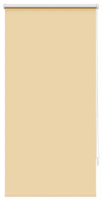 Image de Store d'obscurcissement Store à enroulement 60x120 Beige