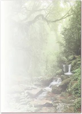 Produktbild von Motivpapier Briefpapier (Bach-5176, DIN A4, 25 Blatt) - Waldbach über Steine, grüne Bäume Natur