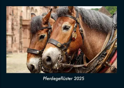 Produktbild von Pferdegeflüster 2025 Fotokalender DIN A4