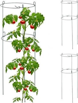 Immagine prodotto di Supporti rotondi per arrampicata in set da 3