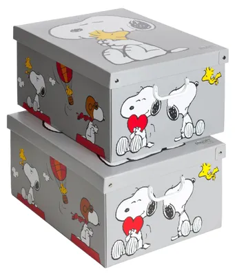 Productafbeelding van Solidchoice - Set van 2 Kartonnen Opbergdozen met Deksel