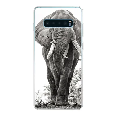 Produktbild von MuchoWow® Handyhülle Schutzhülle Hülle für Samsung Galaxy S10 Plus Elefant - Porträt - Tiere - Schwarz und weiß Silikon Softcase Handy Hülle - Schutzhülle
