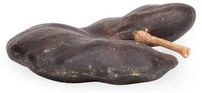 Affenohr-Schote 6-9 cm – Ansicht 2