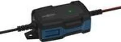 Obrázok produktu pre Ansmann 1001-0142, 6 - 12 V, Typ C (Európska koncovka), 1 A, 230 V, Preťaženie, Skrat, IP65