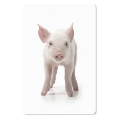 Produktbild von MuchoWow® Mauspad Mousepad Schwein - Tiere - Weiß 18x27 cm - Mousepads - Maus Mat - Pad - Mausunterlage