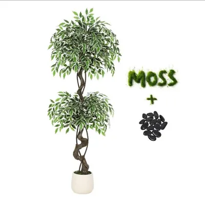 Image de 150cm Ficus plante artificielle tronc d'arbre courbé Ficus artificiel avec pot blanc