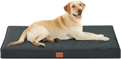 Immagine prodotto di Cuscino ortopedico per cani, sfoderabile, lavabile, grigio, 112x81x76 cm