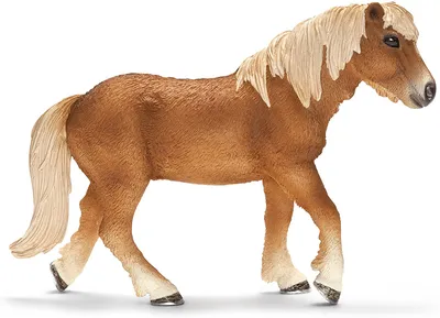 Obrázok produktu pre schleich 13708, 3 rok / roky