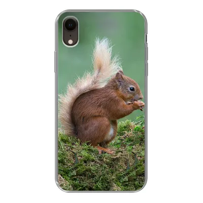 Produktbild von MuchoWow® Handyhülle Schutzhülle Hülle für iPhone XR Waldtier - Eichhörnchen - Moos Silikon Softcase Handy Hülle - Schutzdeckel