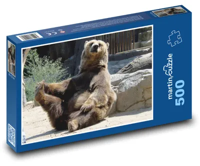 Obrázok produktu pre Puzzle 500 Medveď relaxujúci v zoo - martinpuzzle