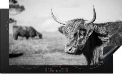 Obrázek produktu pro KitchenYeah® Krycí deska na sporák Scottish Highlander - Animals - Black - White , 91x52cm, dekorace do kuchyně, keramická krycí deska na sporák, krycí deska na varnou desku