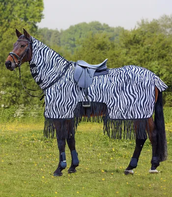 Produktbild von Waldhausen Fliegenausreitdecke Zebra mit Fransen