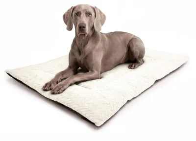 Image de Tapis pour chiens et chats, lavable, 70 x 100 cm, antidérapant, pour animaux de compagnie