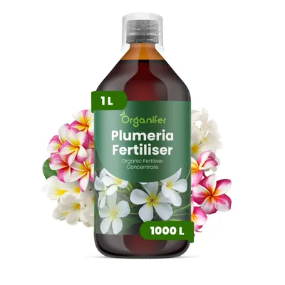 Obrázek produktu pro Frangipani Tekuté Hnojivo 1 L – 3-4-3 NPK – Pro Plumeria – Podporuje Bujné Květy, Silný Růst & Zdravé Listy – Organifer