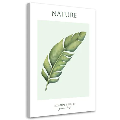 Produktbild von Leinwandbild Grünes Blatt – Natur 70x100 Feeby Grün bild für die wand bereit zum aufhängen