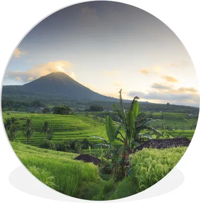 Produktbild von MuchoWow® Rundes Wandbild - Runde Bilder Indonesien - Berg - Reis Ø 60 cm Kreis Wanddekoration Kunststoff - Wandkreis - Wandschmuck - Wand Kreis - Das Schlafzimmer - Die Bilder - Wandmalerei - Kunst für das Haus - das Plastik