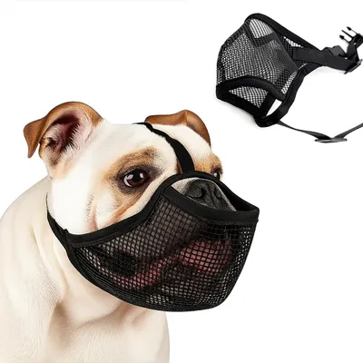 Imagen del producto de Bocadillo de malla suave para perros pequeños, color negro