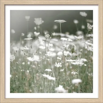 Produktbild von Gerahmtes Bild Dried White Flowers III 33x33 cm