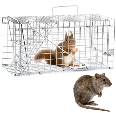 Image de Piège à souris vivant, grande taille - Sûr pour les animaux domestiques et réutilisable, pour une utilisation intérieure et extérieure