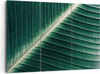 Produktbild von Bild auf Leinwand - Leinwandbild - 3 Teile - Grün Blatt Tropisch - 165x110cm - Wand Bild - Wanddeko - Wandbilder - Leinwanddruck - Bilder - Wanddekoration - Leinwand bilder - Wandbild - CE165x110-4126