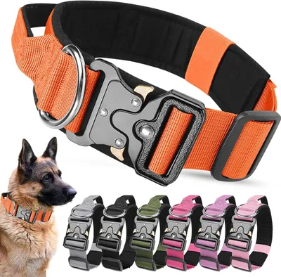 Image de Collier pour chien, large, en nylon tactique, réglable, pour l'entraînement