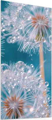 Produktbild von Glasbild 55x110cm in XXL für Wohnzimmer, Schlafzimmer Motiv Wassertropfen Pusteblume