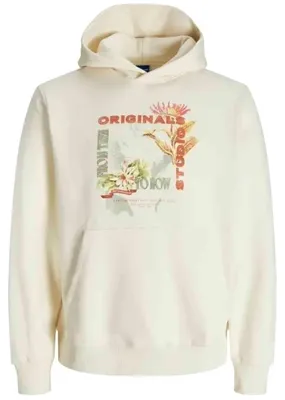 Image de Sweat à capuche Jack&Jones JORLUCCA GRAPHIC SWEAT HOOD pour Homme