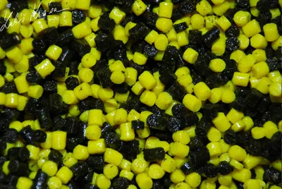 Image de LK Baits Duo X-Tra Pellets Nutric Acid/Pineapple 04151004