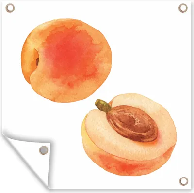 Produktbild von MuchoWow®