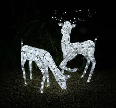 Zdjęcie produktu dla Podświetlane renifery LED - jeleń 61 cm i jeleń 1,2 m w zestawie