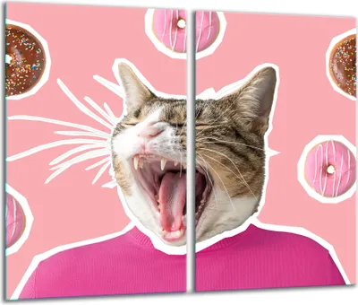 Produktbild von Herdabdeckplatten 2 teilig 30x52 Glaskeramikkochfeld Abdeckung Glas Katze